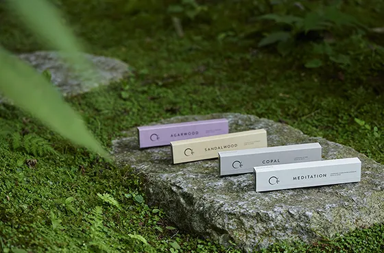 TrendSet Winter 2026